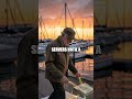 Harbor Wallets and Hidden Funds