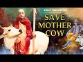 #ISKCON - Cow Protection Model || Srila Prabhupada || ISKCON GauShala || Jivjaago Media