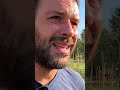 #pomodori nell'#orto, come sono andati quest'anno? #mattthefarmer #aziendaagricola