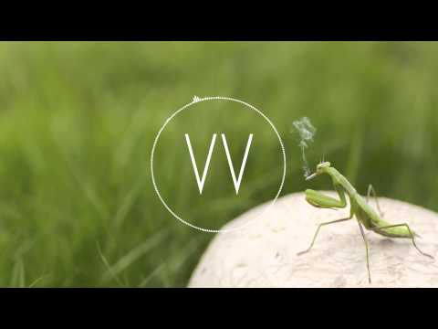 Cameron J Niven | Poor Boy
