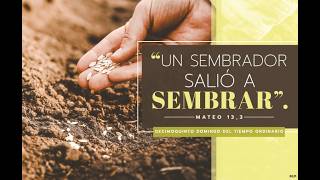 12 de julio, 2026 misa de 11:30am  XV Domingo Ordinario