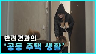 반려견과의 '공동 주택 생활' E.02ㅣ견생스쿨 by 펫트라슈-petrasche 14 views 5 days ago 1 minute, 31 seconds