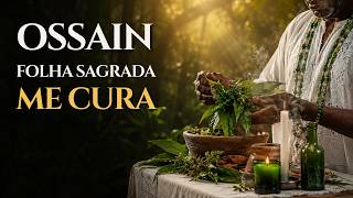 OSSAIN, FOLHA SAGRADA ME CURA — Reza para cura, limpeza espiritual e força da mata | Tambor de Ifé