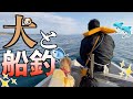 【魚釣り】自分達で釣った魚をキャンプで食べたら格別だった‼︎