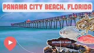 Best Things to Do in Panama City Beach, Florida