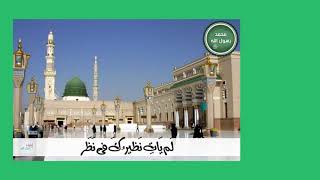 لم يأتي نظيرك في نظر