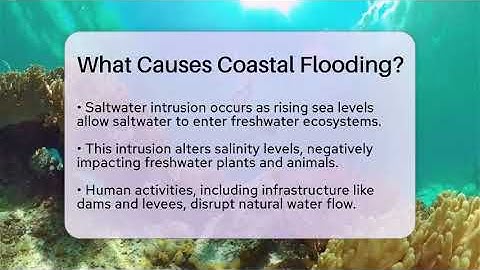 What Causes Coastal Flooding? - Ecosystem Essentials