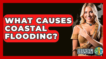What Causes Coastal Flooding? - Ecosystem Essentials