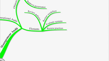 CIMA P3 Lecture 11 - More Audit.avi