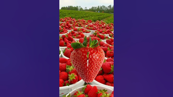 Yummy strawberries #shorts  #fruits