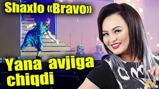 Shaxlo avjiga chiqti ( 