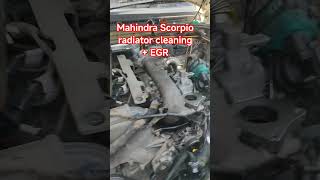 Mahindra Scorpio radiator cleaning Plus egr cleaning  Jeetu Mistri Jhajjar #automobile