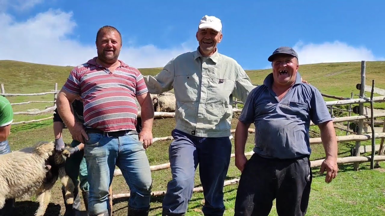 Kupanje ovaca kod dva brata Himze i Avde Šeste Ćajlaković na planini Vranica