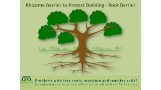 Rhizome Barrier To Protect Building - Root Barrier