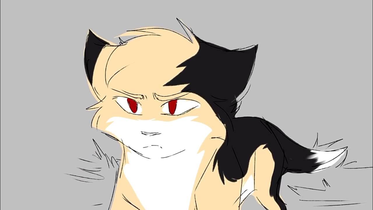 Коты воители энки и айки. Энки кот. Энки кот. Коты воители энки и айла. Cristalwolf567 коты воители энки.