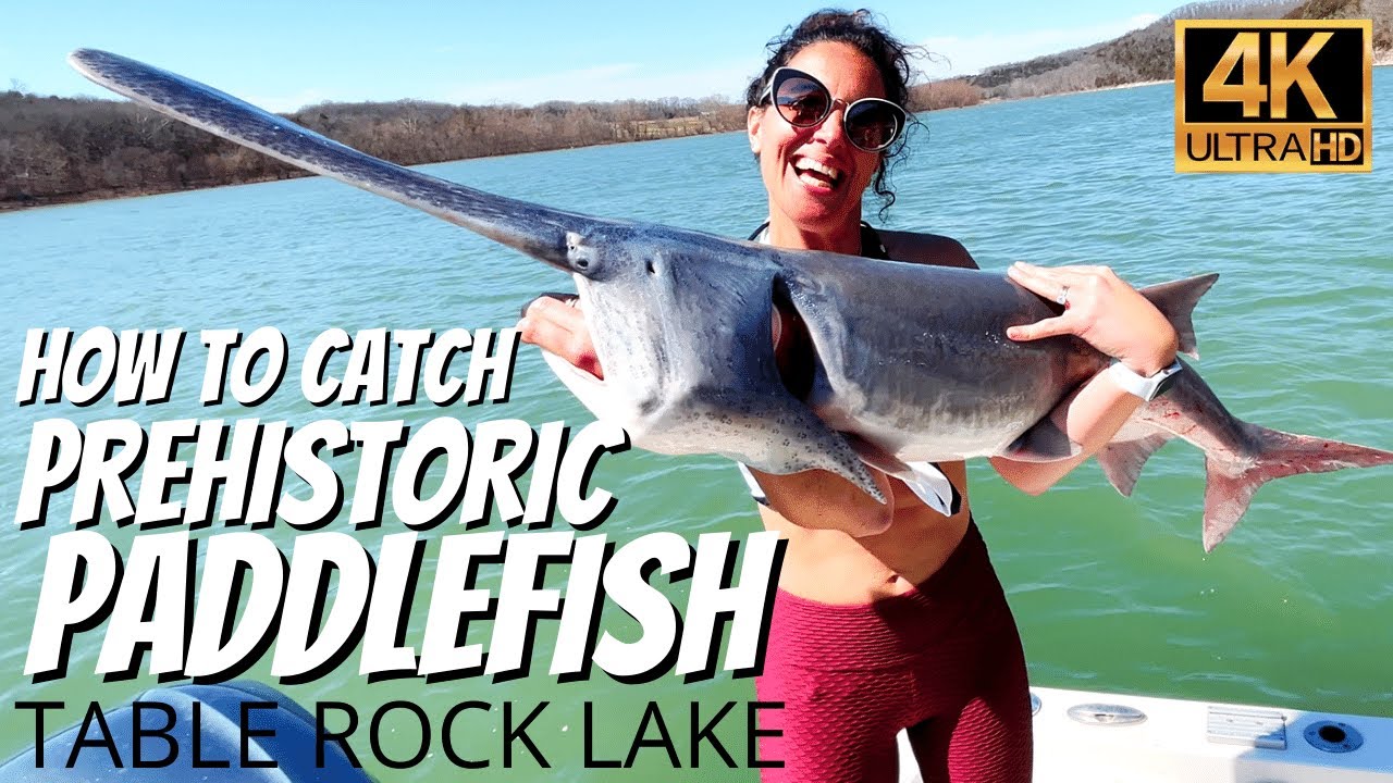 How To Catch Prehistoric Paddlefish - Table Lake Rock, Mo