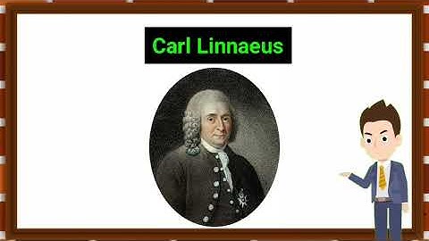 Alpha, Beta and Gamma Taxonomy| Mohsin Abbas | Urdu/Hindi