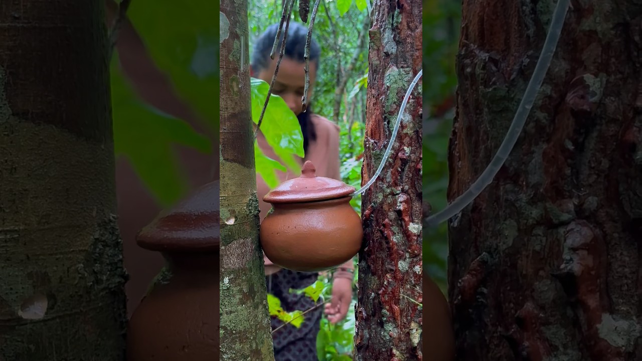 This plant is very useful.