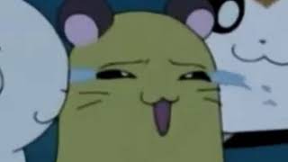 Hamtaro Penelope Crying,