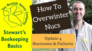 Overwintered Nucs Update 4: Successes & Failures - Beekeeping Basics - The Norfolk Honey Co.