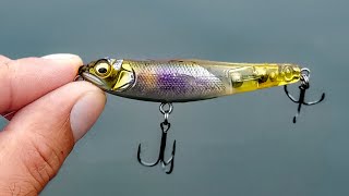 leurre megabass dog x junior coayu