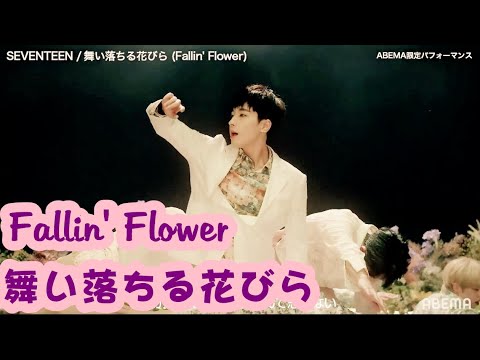 200530 SEVENTEEN (세븐틴) 舞い落ちる花びら (Fallin' Flower