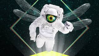 Bassnectar & LUZCID - Journey To The Center / Music Is The Drug