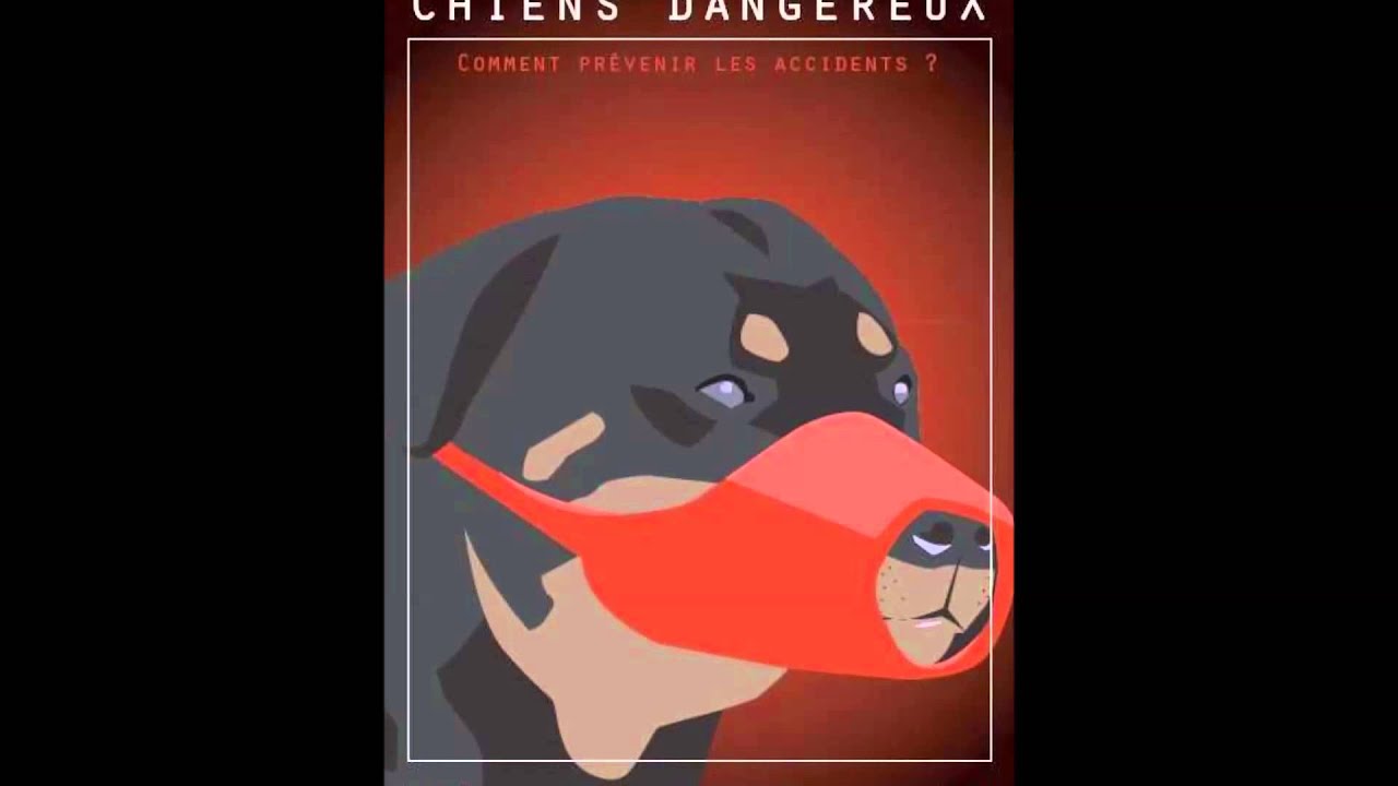 RAPPEL DE LA LOI chiens catégorisés YouTube