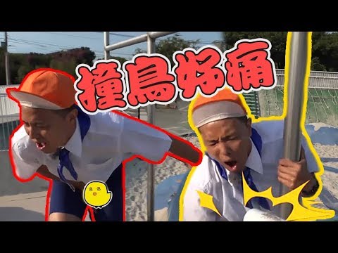 綜藝玩很大｜EP279 小鬼撞小鳥痛到蹲地 爬桿比快險勝！ Mr. Player｜Vidol.tv