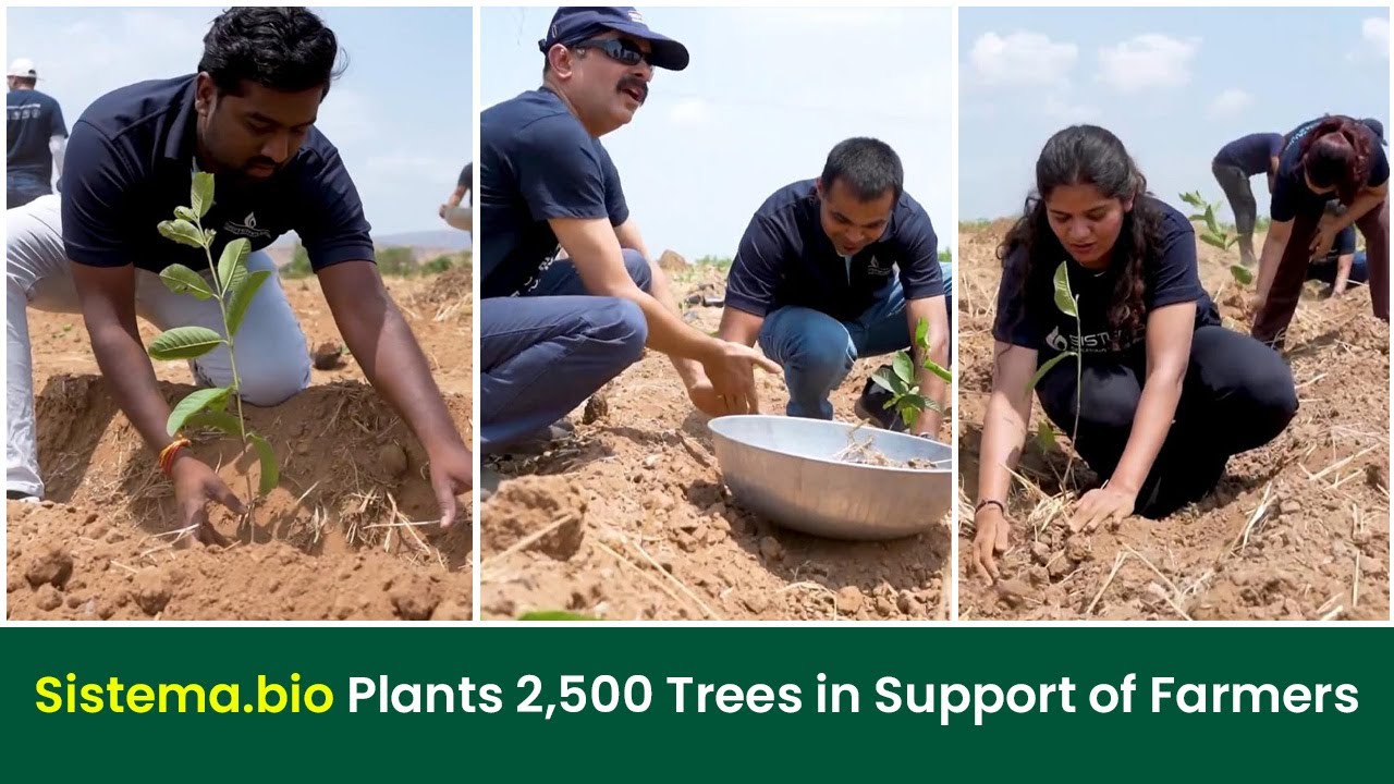 Watch How 2,500 Trees by Sistema.bio is Empowering Farmers in Satara I Grow Billion Trees