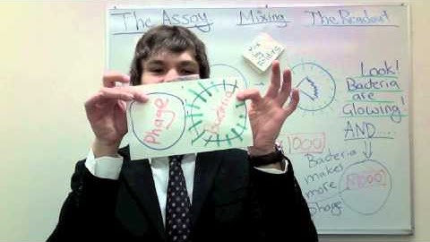 "Paper and phage for diagnostics in resource-limited environments" by Ratmir Derda