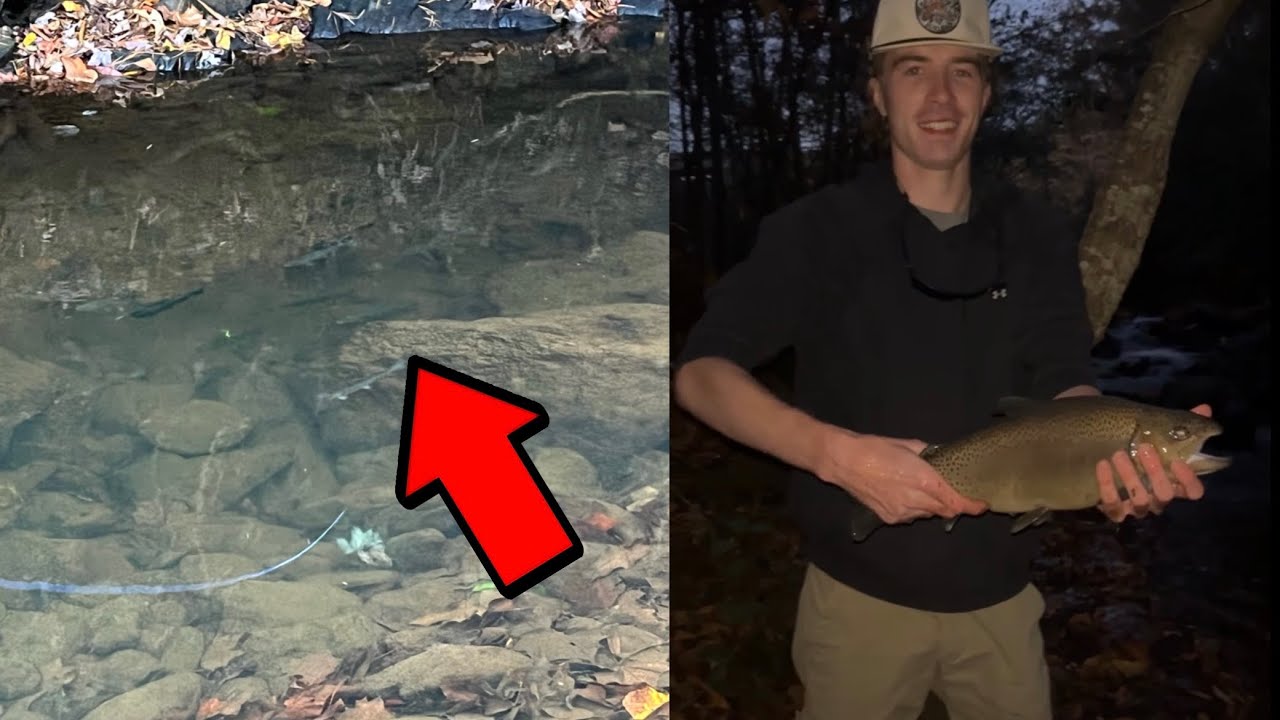 Trout Fishing a Delayed Harvest!! (the most fish I’ve ever seen) - YouTube