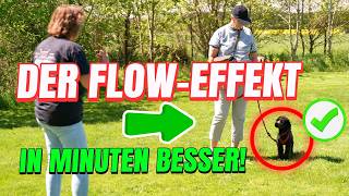 💥🐶 Leinenführigkeit üben live 👉 Mit dem FLOW-EFFEKT in Minuten besser!💥✔️