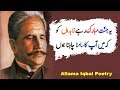 Best Allama Iqbal Urdu poetry | Allama iqbal poetry Collection | Allama iqbal urdu shayari