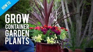 BBC Gardener of The Decade, Katherine Crouch, on pot plants and container gardening. Katherine uses a mixture of garden pot 
