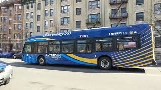 Triple Bx3's Buses along University Av.