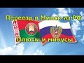 Переезд в Беларусь из России. Плюсы и минусы