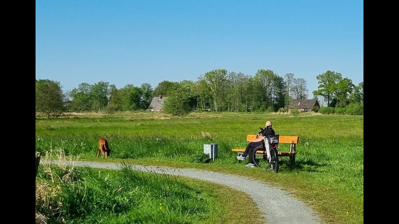 Fotoschau: April + Mai 2024:  Krautsand; Brücke Geversdorf; Blütenfest Drochtersen; Asselersand