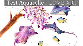 Démonstration à la peinture #aquarelle I love Art par Cindy Barillet