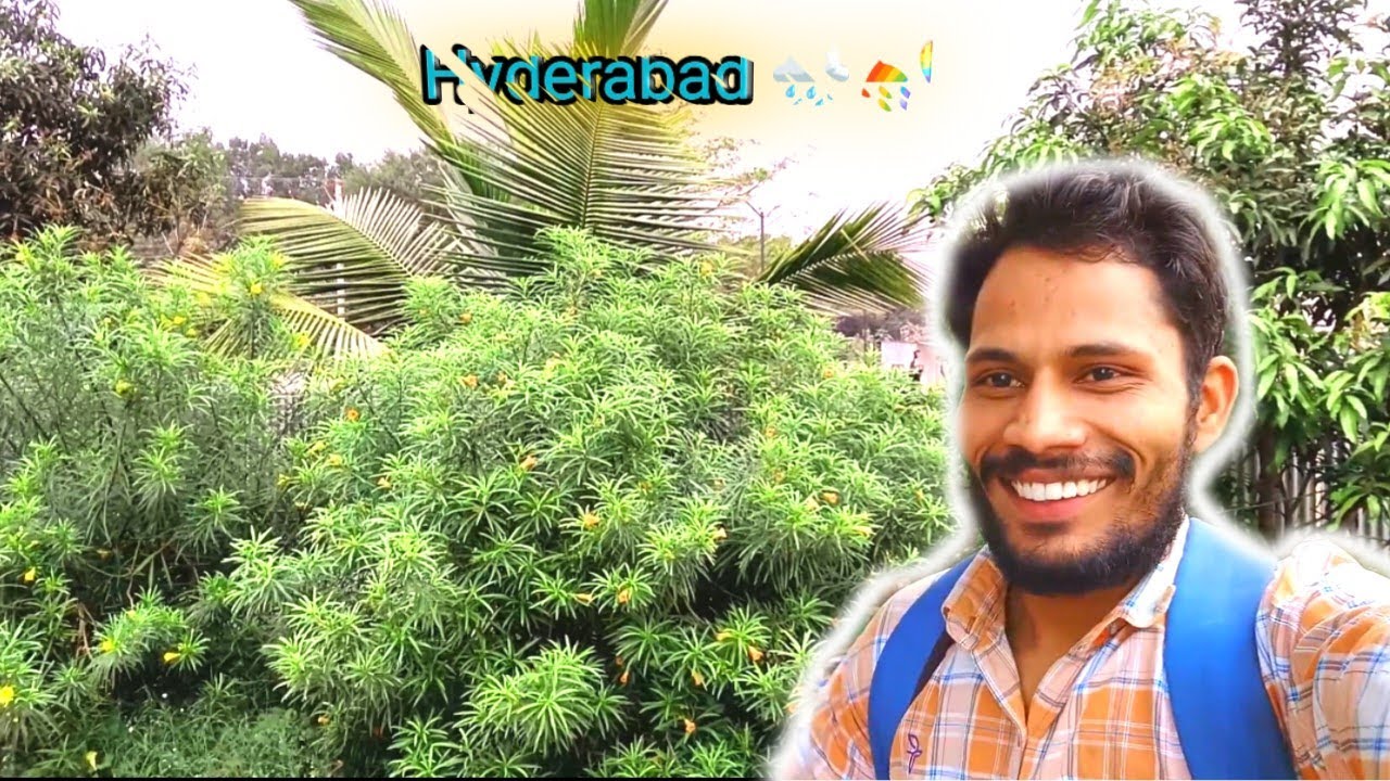 आज बिन मौसम बरसात हुई मूसलाधार 🌧️🌦️🌈 season bin barsat Hui 🤔🌧️