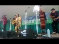 AJ Lee and Blue Summit at Grey Fox - Tear My Stillhouse Down