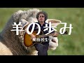 奥田民生 - 羊の歩み [カンタンバーチャビレ]