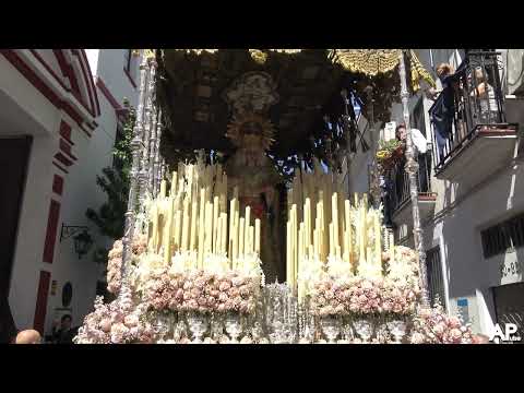 Real, Ilustre, Antigua, Fervorosa y Franciscana Hermandad Sacramental y Cofradía de Nazarenos del Santo Sudario de Nuestro Señor Jesucristo, Santísimo Cristo del Buen Fin, Nuestra Señora de la Palma Coronada, San Francisco de Asís y San Antonio de Padua