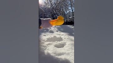 How to make the perfect SNOWBALL from yellow DUCK???🐥#shorts #snowballs #asmrvideo