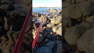 Sarina Beach Fishing Details