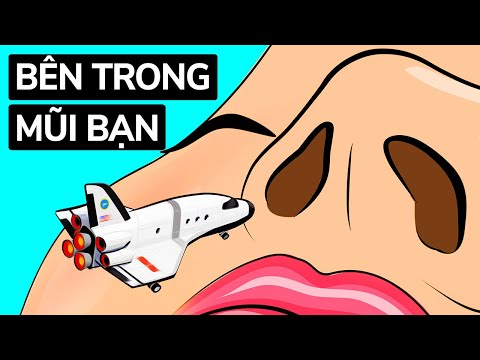 Video: Mũi Sao: Các đặc điểm đặc Trưng Của động Vật