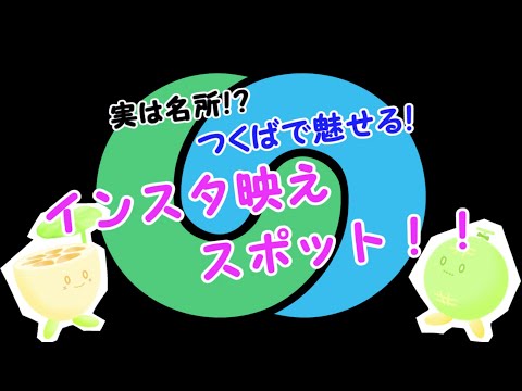 スライドショー部門優秀賞「実は名所！？つくばで魅せる！インスタ映えスポット！！」並木中等教育学校　とあるつくばのインスタグラマーチーム