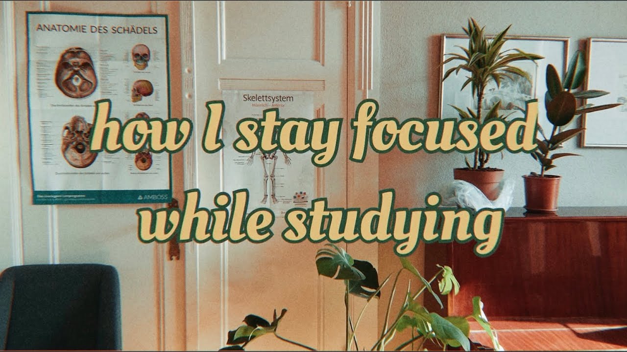 How I Stay Focused While Studying Exam Season YouTube how-i-stay-focused-while-studying-exam-season-youtube