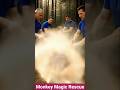 Monkey Magic Rescue #comedy #comment #ai #trending #trendingshorts #monkey