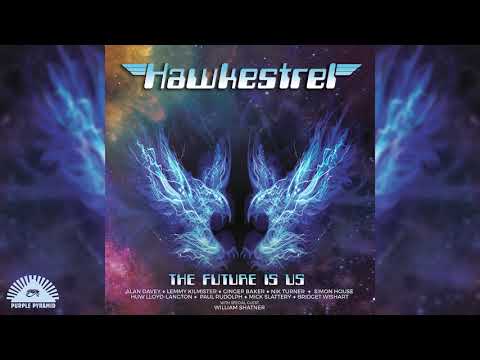 Hawkestrel — Hawkestrel - Do What Ya Need to Do (Official Art-Track Video)